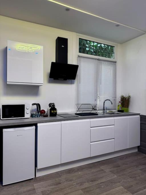 Le Vitton - Appartement Proche Gare Partdieu Villeurbanne Exteriör bild